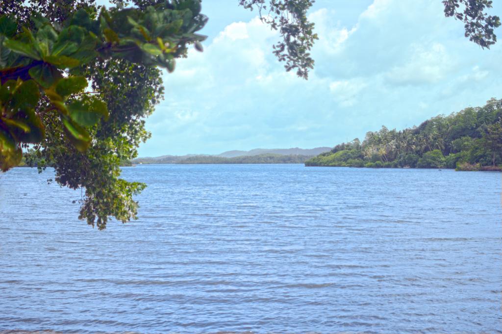 Lumbini Lagoon 코갈라 객실 사진
